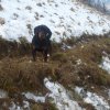 Hugo: Tak tomuto teda nerozumiem